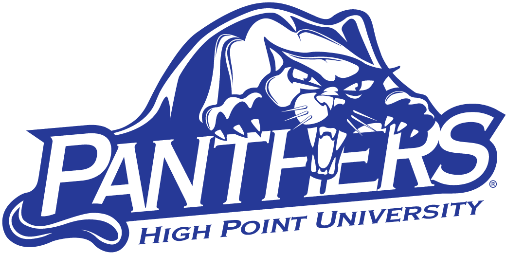 High Point Panthers 2004-Pres Alternate Logo t shirts DIY iron ons v3